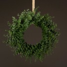 Krans eucalyptus, Ø 50 cm thumbnail