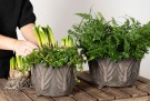 Sett med to krukker, blad, m brun thumbnail
