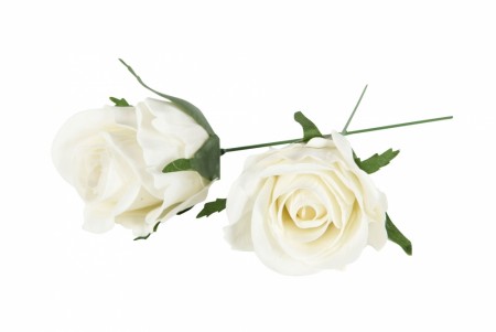 Hvit rose, ø 7,5 cm, vannfaste