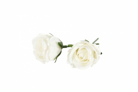 Hvit rose, ø 4,5 cm, vannfaste